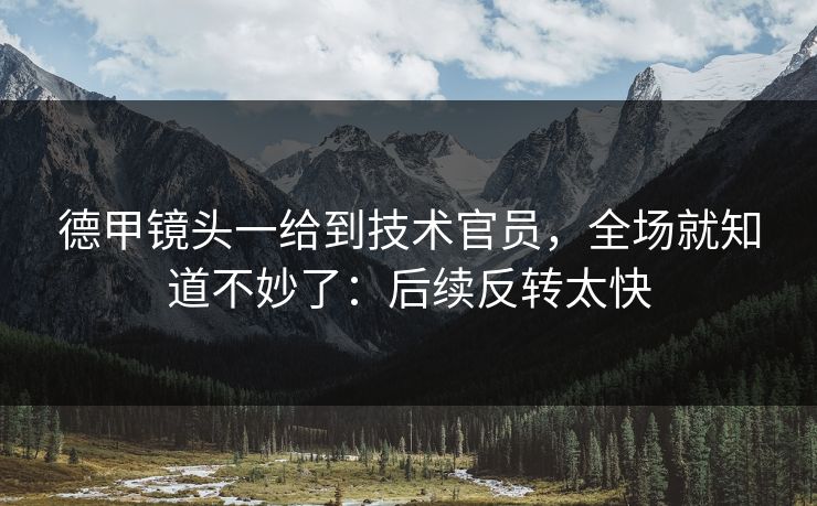 德甲镜头一给到技术官员，全场就知道不妙了：后续反转太快