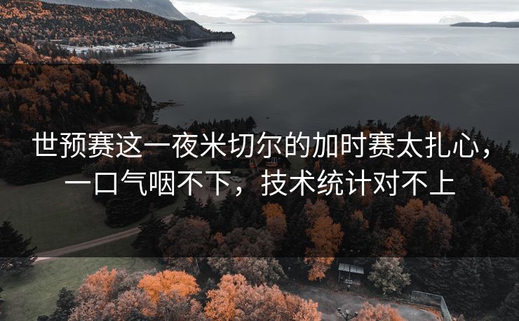 世预赛这一夜米切尔的加时赛太扎心,一口气咽不下,技术统计对不上