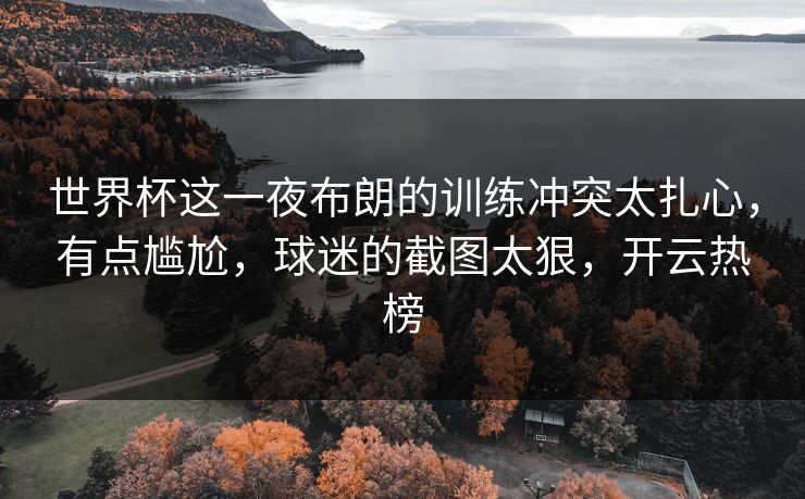 世界杯这一夜布朗的训练冲突太扎心,有点尴尬,球迷的截图太狠,开云热榜