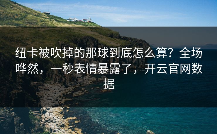 纽卡被吹掉的那球到底怎么算？全场哗然，一秒表情暴露了，开云官网数据